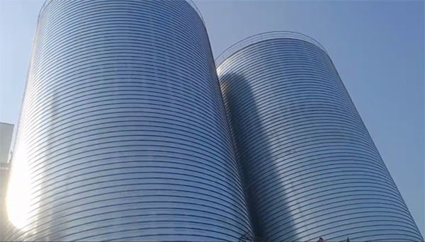 莲都2座混凝土高架卷板仓